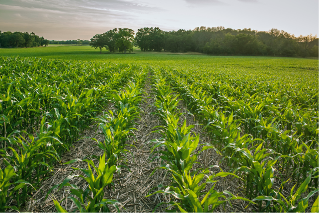 Reducing Emissions and Empowering Sectors